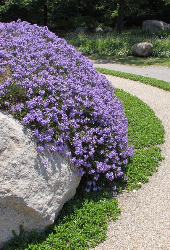 colorful low maintenance rock garden