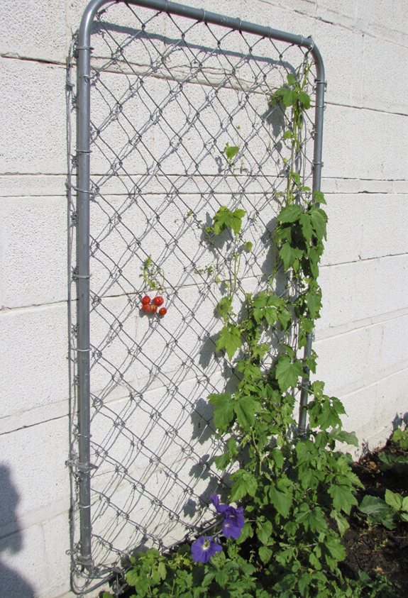 concrete block trellis