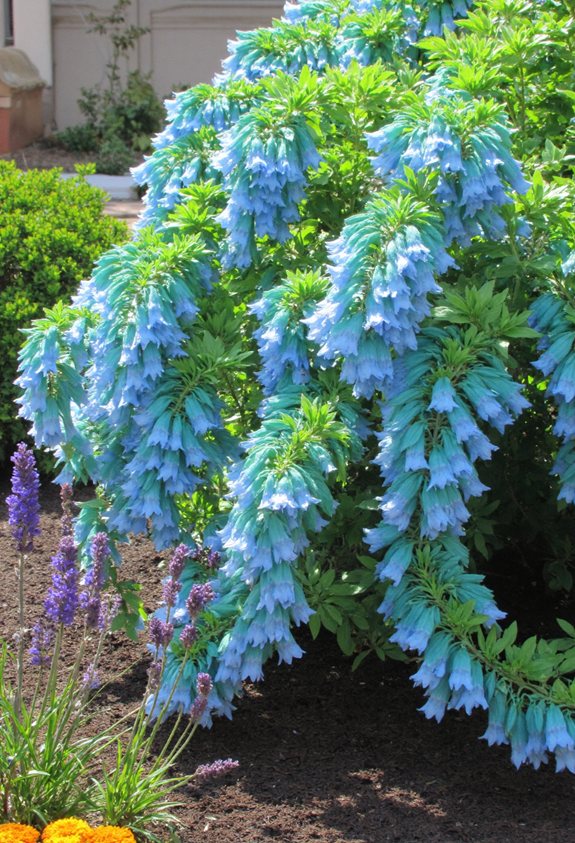 cool blue green trailing