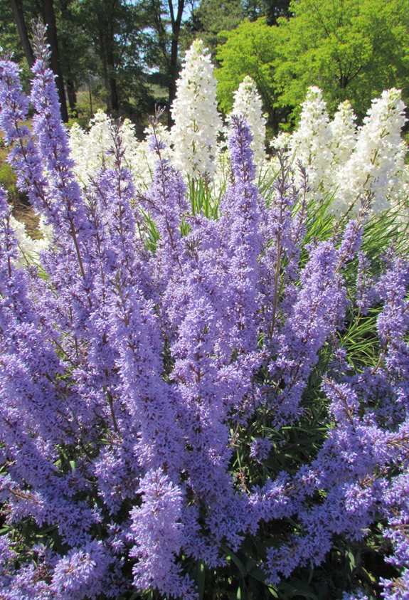 delicate air purifying blooms