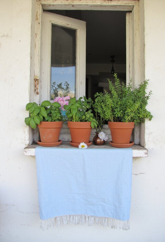 doorway herb shelf garden
