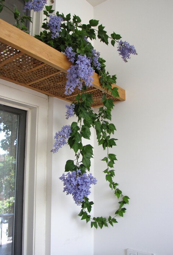 floating shelf climbingllis garden