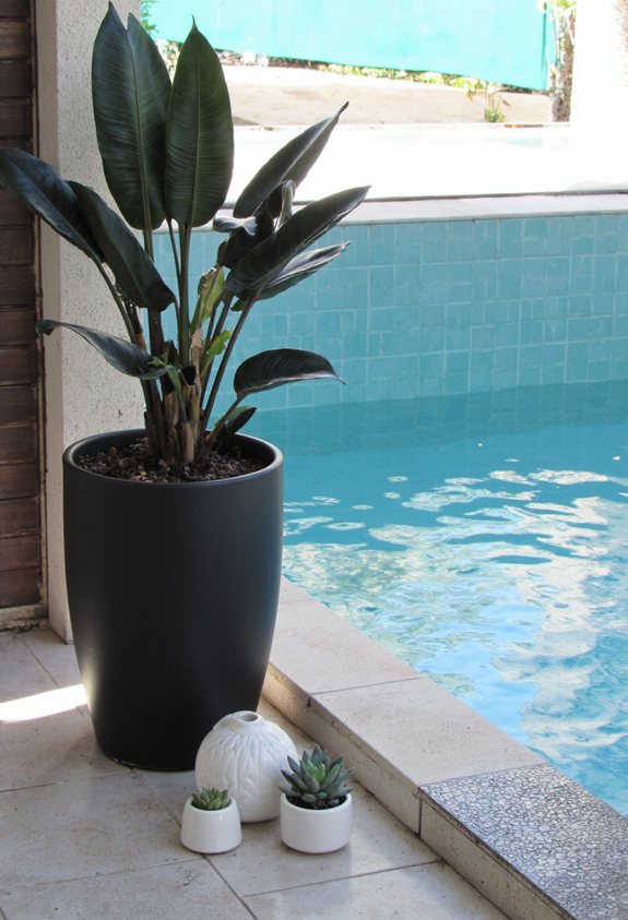 glossy upright modern oasis