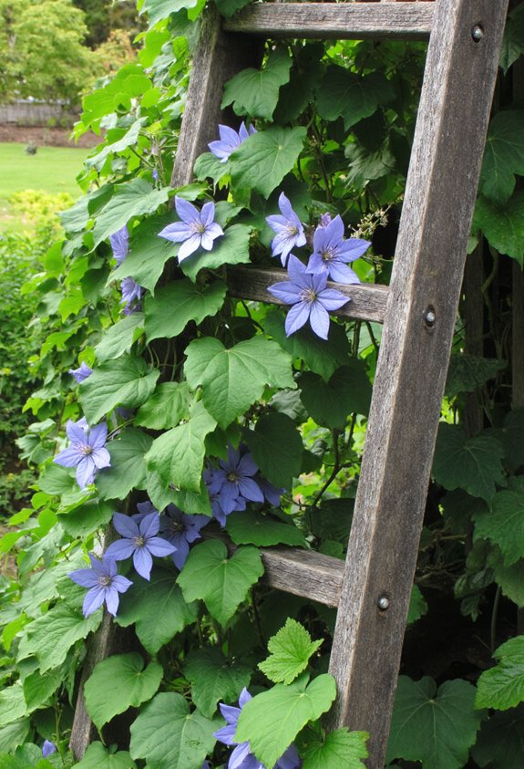 hanging rope ladder garden