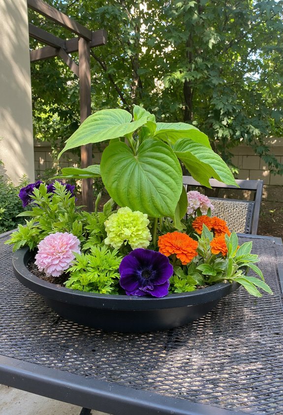 hostas paired with vibrant annuals