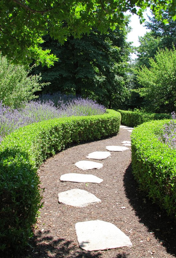 low maintenance living hedge