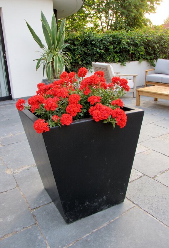 modern concrete planters aesthetic