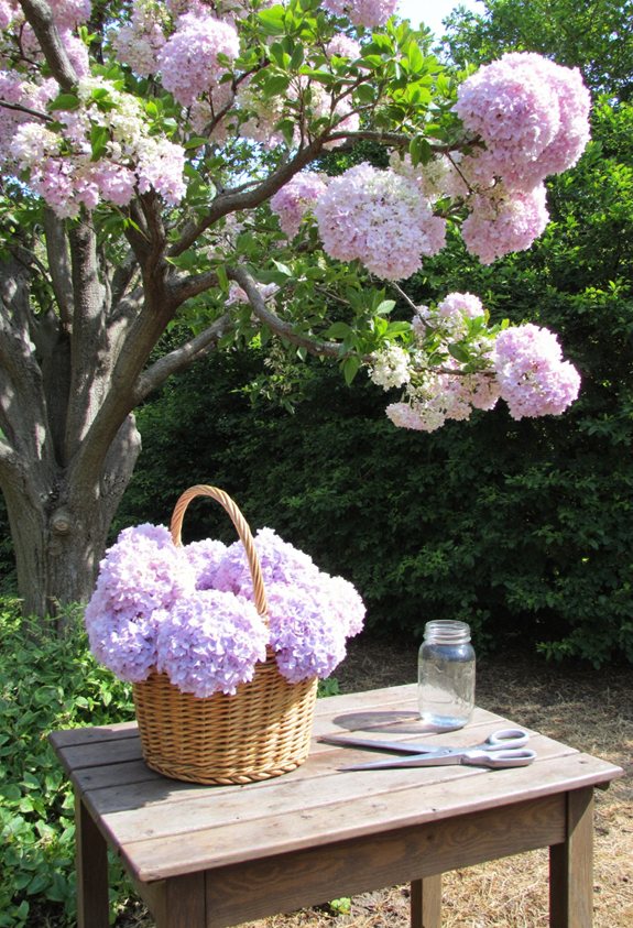 preserve hydrangea flower crafts