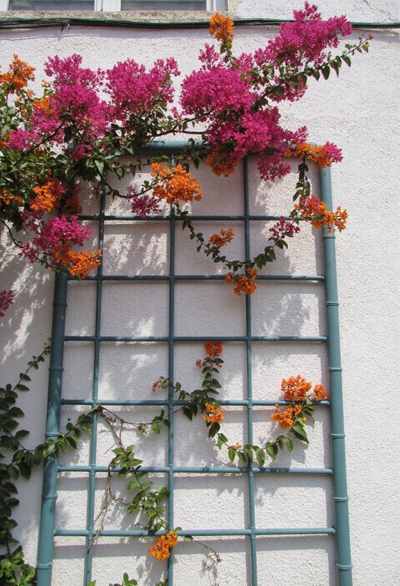 pvc trellis diy guide