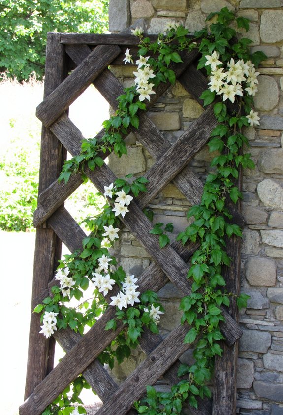 reclaimed barnwood trellis