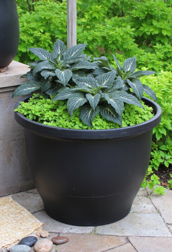 self watering pots simplify gardening