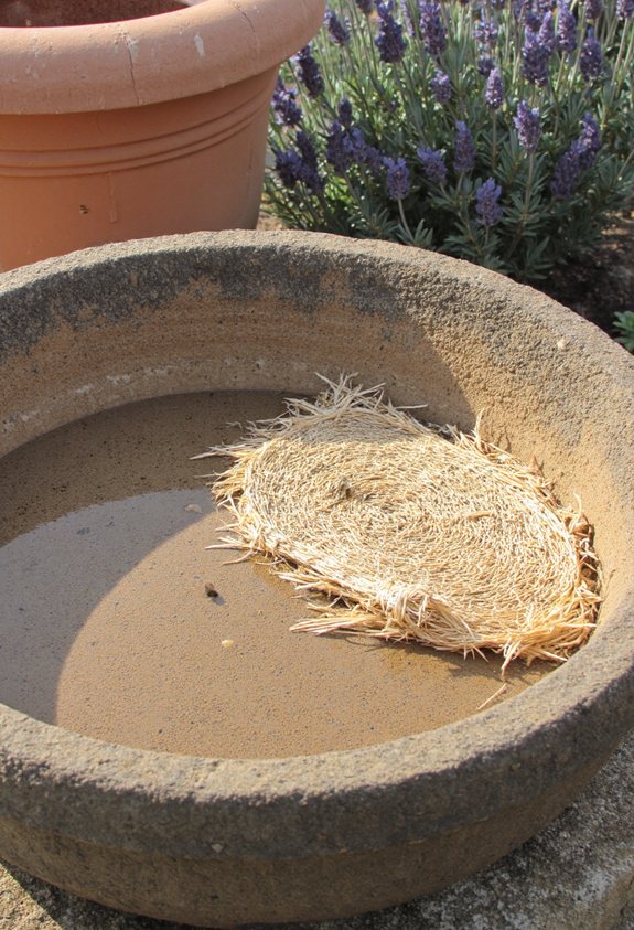 shade protected sponge moisture bee bath