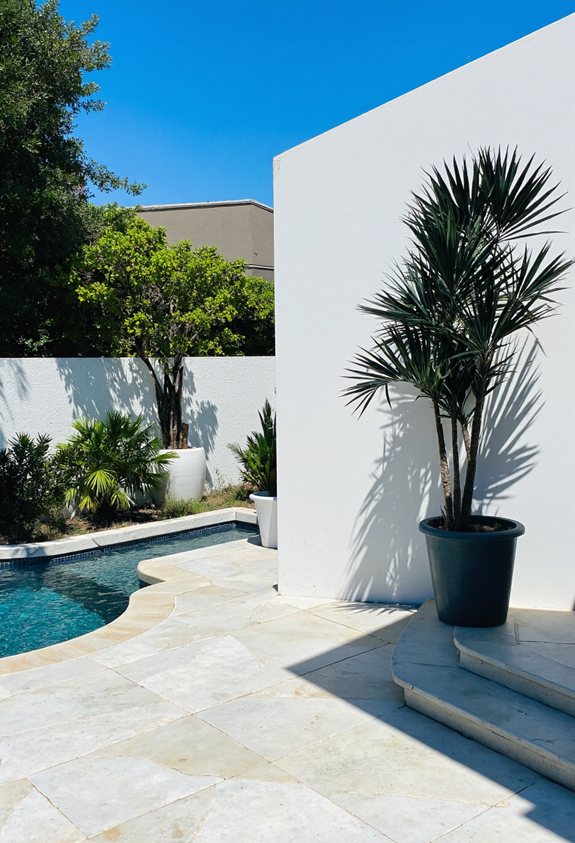 spiky architectural poolside accent