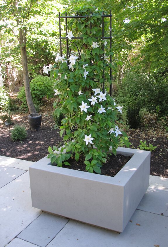 sturdy concrete trellis planter