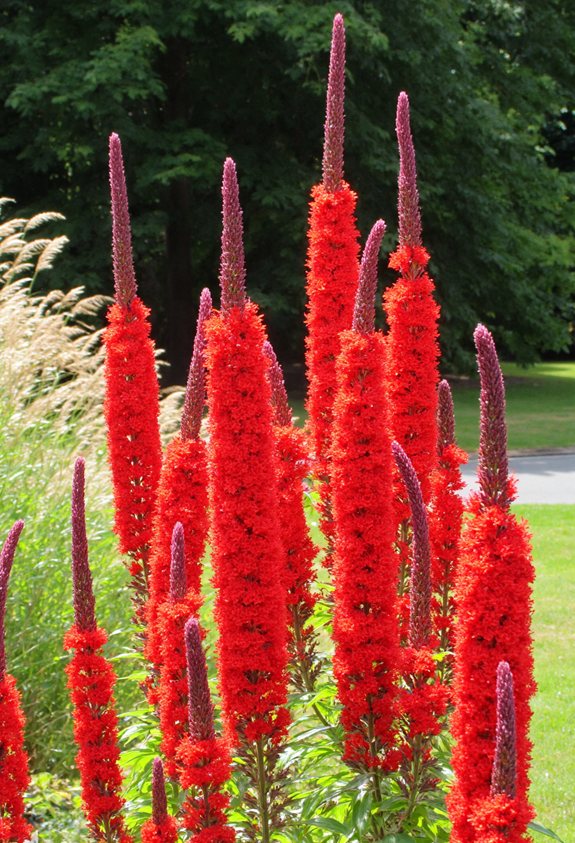 sun loving bee friendly salvia