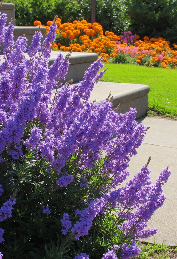 trail friendly continuous summer color