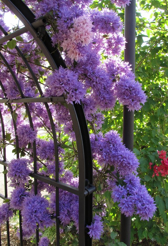 whimsical metal vine arch