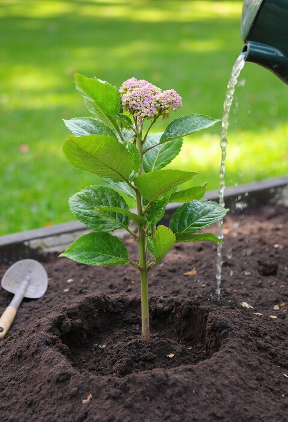 wide deep level planting
