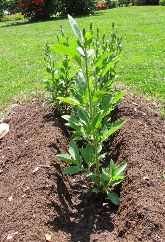 fluffy airy drainage bed