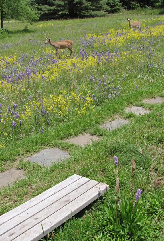 native plants attract wildlife