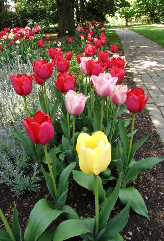 nature s pest control perennials