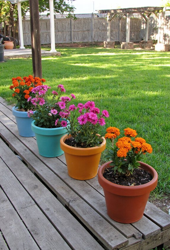 painted terracotta pots