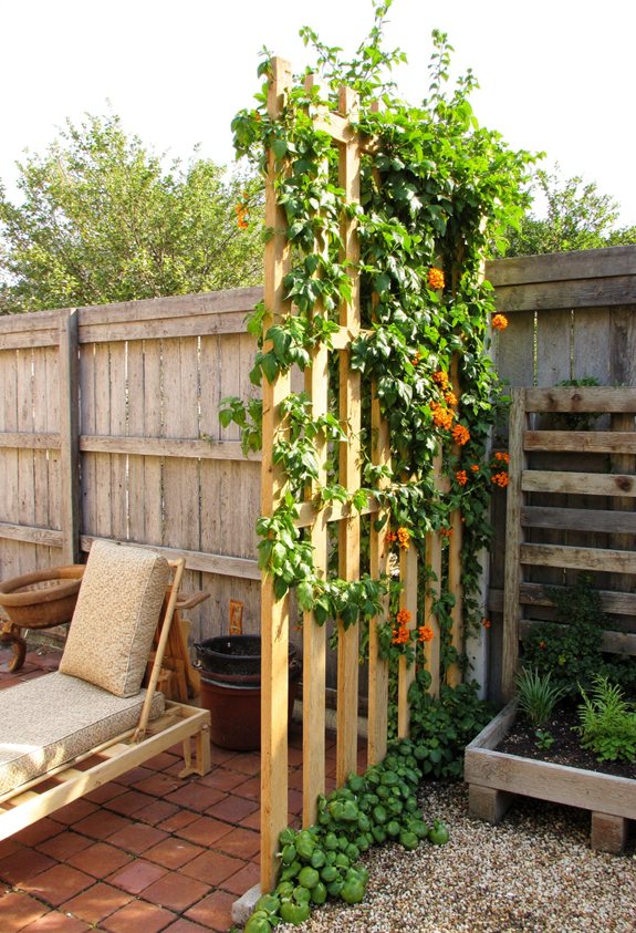 shade sail trellis gardening
