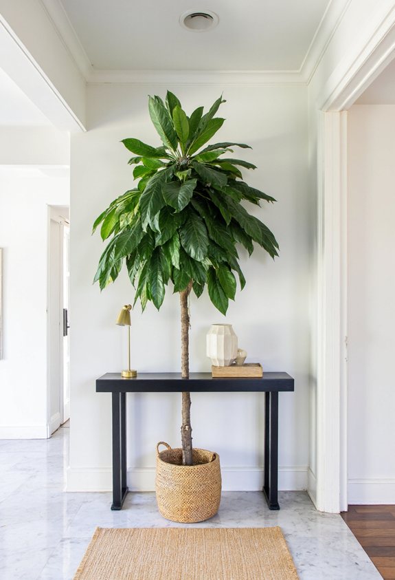 tall floor plant d cor