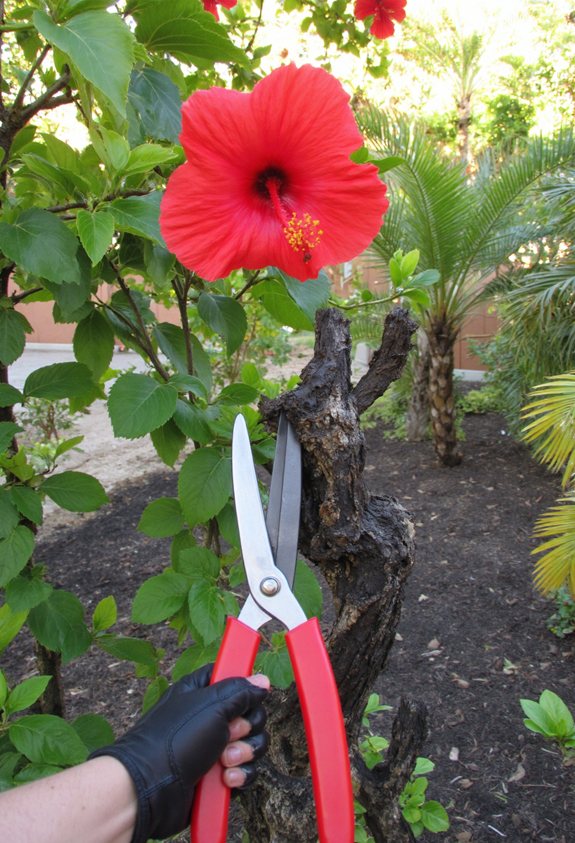 trim wilted branches promptly