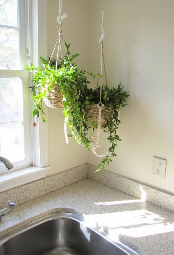 renter safe hanging planters